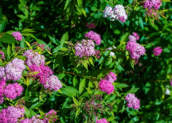 ホリデーパーク Villaggio Ca' Laguna