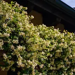 Villaggio Ca' Laguna 4* غرادو