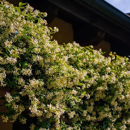 Villaggio Ca' Laguna 4* Grado