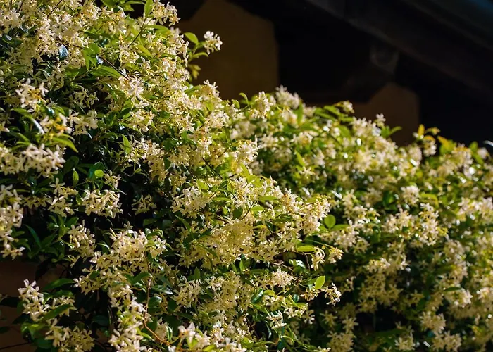 池塘乡村酒店 4* 格拉多