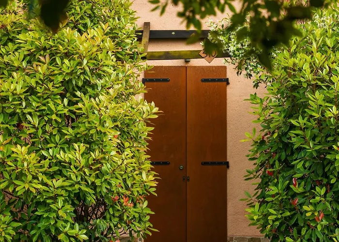 假日公园 池塘乡村酒店